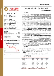 新相微深度报告：显示驱动芯片龙头，产品多元化布局