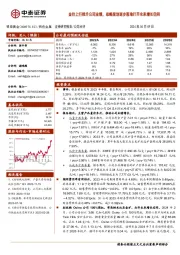 金价上行推升公司业绩,战略规划逐步落地打开未来增长空间