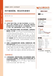 2023年报点评：海外增速提振，新品类快速增长