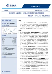 年报点评报告:盈利能力大幅提升,电动化与全球化布局持续推进