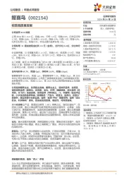 年报点评报告：实现高质量发展