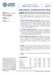 公司年报点评：短期业绩承压，积极推进碳纤维项目落地