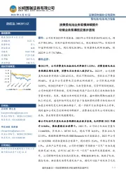 消费类电池业务规模持续提升 动储业务规模效应逐步显现