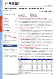 公司信息更新报告：业绩稳健增长，融资畅通成本优势凸显