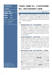 公司盈利实现稳健增长，国际化战略逐渐进入收获期