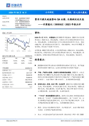 2023年报点评：费用计提及减值影响Q4业绩，长期规划成长高