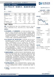 2023年报点评：短期承压，数据要素高歌猛进