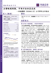 公司事件点评报告：业绩略超预期，市场开拓初显成效