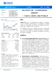 2023年年报点评： 国际业务扭亏为盈，公司有望受益特高压 持续高景气