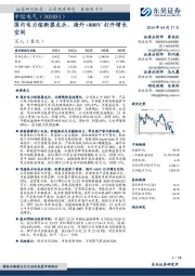 国内电力熔断器龙头，海外+800V打开增长空间