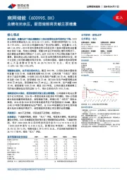 业绩有所承压,新型储能将贡献主要增量