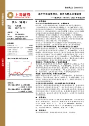 2023年年报点评：海外市场强势增长，软件与解决方案放量