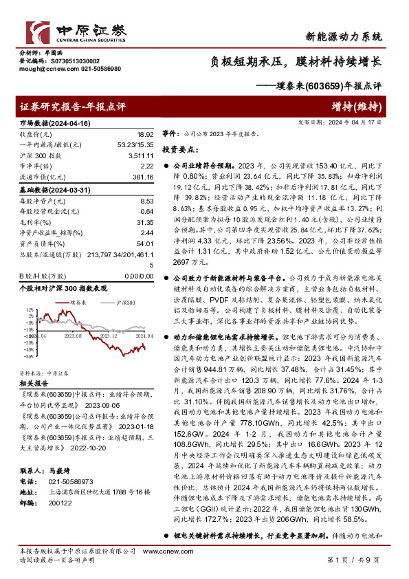 年报点评：负极短期承压，膜材料持续增长