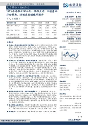 2023年年报&2024年一季报点评：业绩基本符合预期，活性炭份额稳步提升