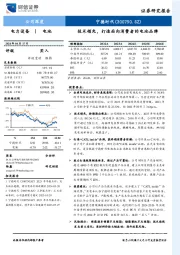 技术领先，打造面向消费者的电池品牌