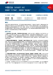 积极践行“分子炼油”,持续推进“减油增化”