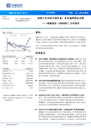 点评报告：控股火电利润大幅改善，来风偏弱影响业绩