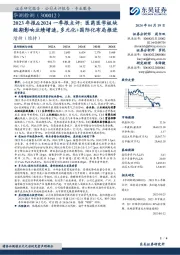 2023年报&2024一季报点评：医药医学板块短期影响业绩增速，多元化+国际化布局推进