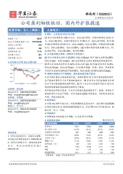 公司盈利韧性依旧，国内外扩张提速