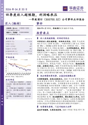 公司事件点评报告：四季度收入超预期，利润略承压