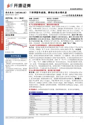 公司信息更新报告:下游调整阵痛期,静待后续业绩改善