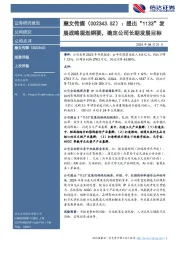 提出“1133”发展战略规划纲要,确定公司长期发展目标