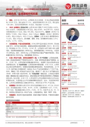 2023年年报及2024年一季报点评：业绩高增，全球战略布局加速