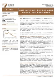 费用上涨及计提减值影响全年业绩，24Q1高基数下维持增长