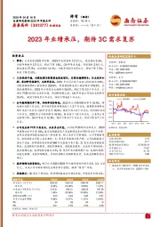 2023年年报点评：2023年业绩承压，期待3C需求复苏