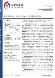 业绩同比承压，扩充特气品类，推进国际化布局