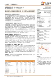 盈利能力&现金流明显改善,中长期市占率有望提升