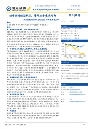 2023年年度报告点评：经营业绩短期承压，海外业务未来可期