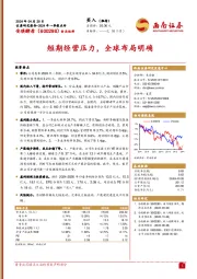 2024年一季报点评：短期经营压力，全球布局明确