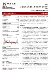 年报点评:业绩实现大幅增长,多部主投电影项目待上映