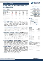 2024Q1业绩点评：扣非归母净利同增29%，战略转型成效初显