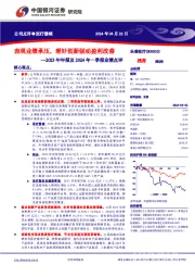 2023年年报及2024年一季报业绩点评:表观业绩承压,看好创新驱动盈利改善