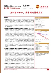 23年年报及24年一季报点评：盈利暂时承压，降本增效持续发力