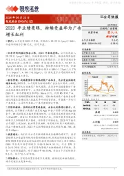 2023年业绩亮眼，持续受益华为广告增长红利