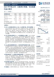 2023年年报点评:业绩符合预期,电池箔盈利基本稳定