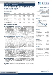 2024年一季报业绩点评:业绩超预期,多元化布局打开增长空间