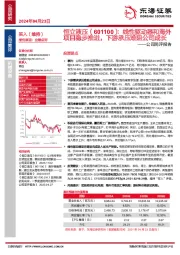 公司简评报告：线性驱动器和海外项目稳步推进，下游承压难阻公司成长