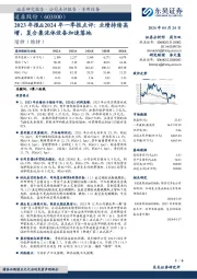 2023年报&2024年一季报点评：业绩持续高增，复合集流体设备加速落地