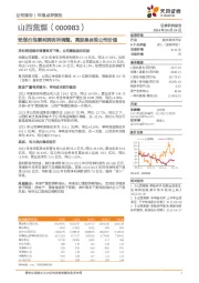 受煤价拖累利润有所调整，高股息体现公司价值