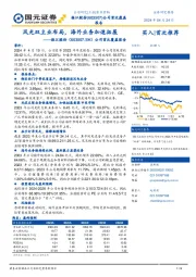 公司首次覆盖报告：风光双主业布局，海外业务加速拓展