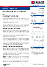 24Q1业绩同比高增，AMOLED占比稳步提升