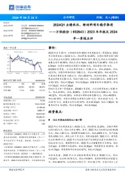 2023年年报及2024年一季报点评：2024Q1业绩承压，新材料项目稳步推进