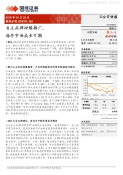 自主品牌持续推广,海外市场成长可期