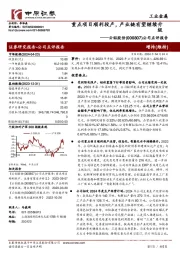 公司点评报告:重点项目顺利投产,产业链有望继续升级