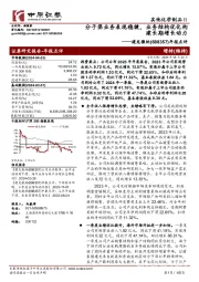 年报点评：分子筛业务表现稳健，业务结构优化构建长期增长动力