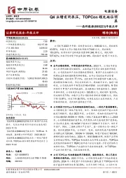 年报点评：Q4业绩有所承压，TOPCon领先地位明显